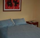 Busy Buzz - St Kilda Accommodation