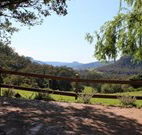 Cedar Grove - - St Kilda Accommodation