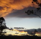 Silkwood B and B - St Kilda Accommodation