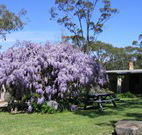 Studio Cottages - St Kilda Accommodation