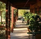 The Vineyard Motel - St Kilda Accommodation