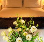Winton Luxury Bed and Breakfast - St Kilda Accommodation