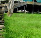 Snowy Valley Resort - St Kilda Accommodation