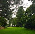 Brigalow Cottage - St Kilda Accommodation