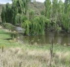 Cedar Grove - St Kilda Accommodation