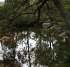 In Essentia Healing Hut of Kangaroo Valley - St Kilda Accommodation