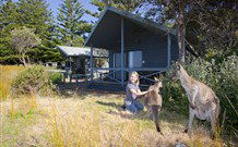 Norman Lindsay Cottage - St Kilda Accommodation 9