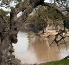 Valley View Cottage Hunter Valley - St Kilda Accommodation