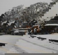 Habitat Chalet - St Kilda Accommodation