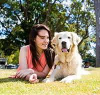 Jacobs Well Tourist Park - St Kilda Accommodation