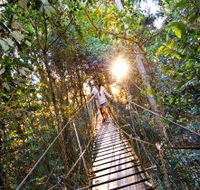 O'Reilly's Rainforest Retreat - St Kilda Accommodation