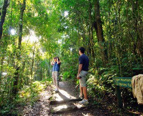 O'Reilly's Rainforest Retreat - St Kilda Accommodation 2