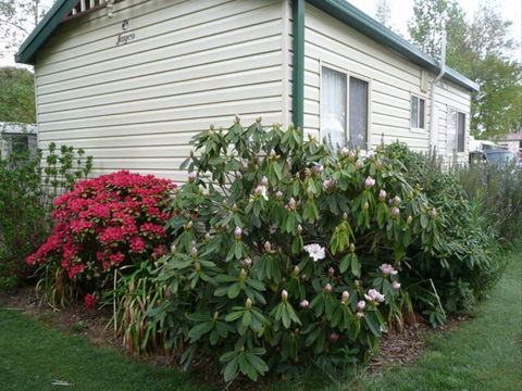 Jenolan Caravan Park - St Kilda Accommodation 1