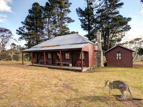 The Pines Cottage - St Kilda Accommodation 0