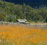 Pender Lea Alpine Guest Accommodation - St Kilda Accommodation