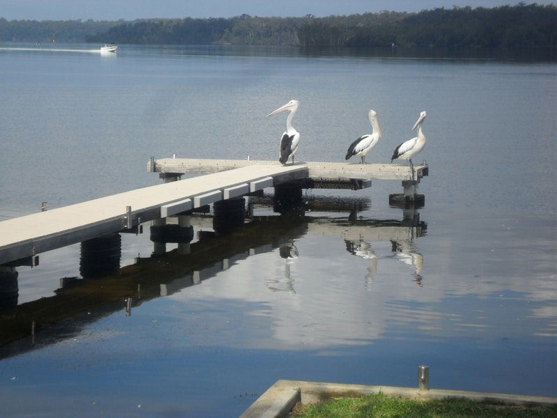 Basin View NSW St Kilda Accommodation