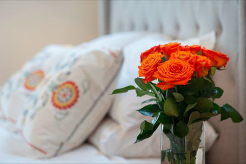 The Nest At Gundaroo - St Kilda Accommodation 0