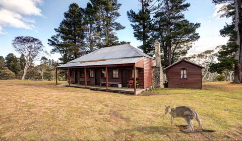 The Pines Cottage - St Kilda Accommodation 1