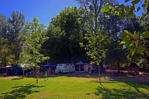 Ardern's Caravan Park, Myrtleford - St Kilda Accommodation 0