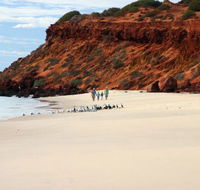 Herald Bight Camp at Francois Peron National Park - St Kilda Accommodation