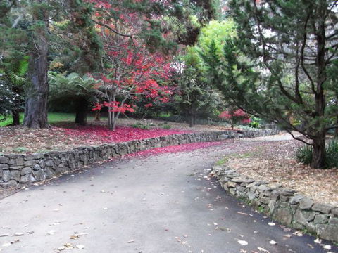 The Jungle Lodge, Blue Mountains Botanic Gardens - St Kilda Accommodation 5