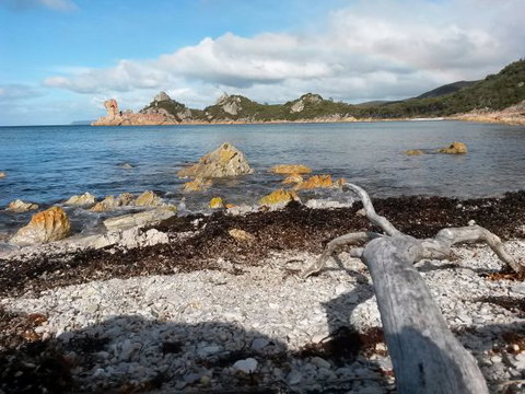 Eagle's Roost Farmstay B&B - St Kilda Accommodation 8