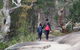 Girraween National Park Camping Ground - thumb 2