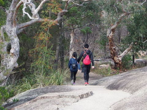 Girraween National Park Camping Ground - St Kilda Accommodation 2