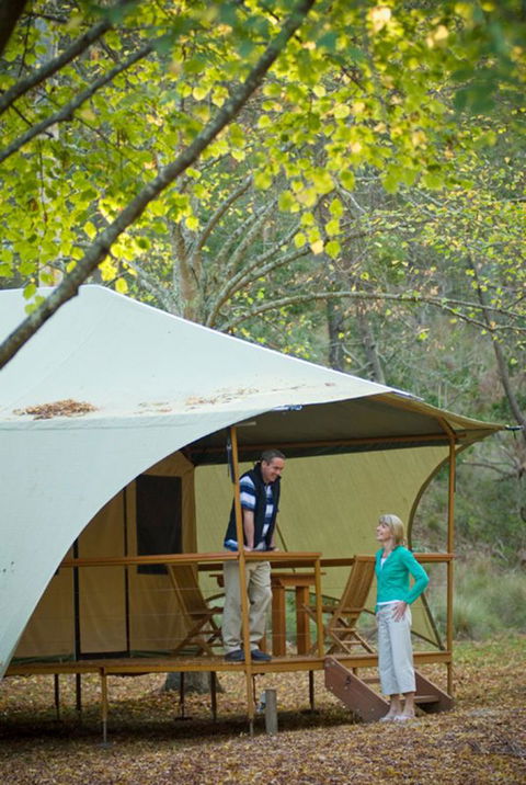 Wilderness Retreats Buchan Caves Reserve - St Kilda Accommodation 4