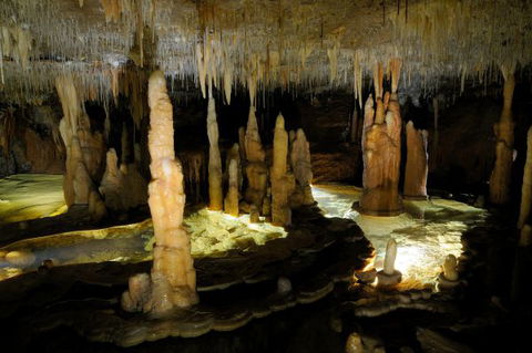 Wilderness Retreats Buchan Caves Reserve - St Kilda Accommodation 8