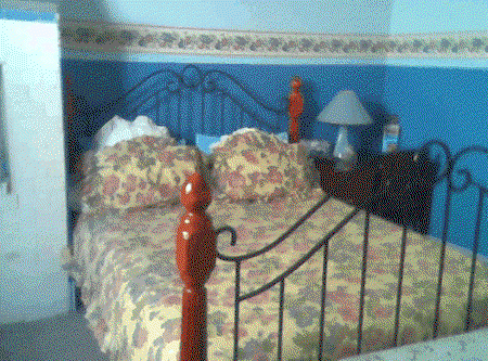 Hamilton Heritage Bed & Breakfast - St Kilda Accommodation 2