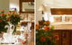 The Kingscliff Seaside Guesthouse - thumb 5