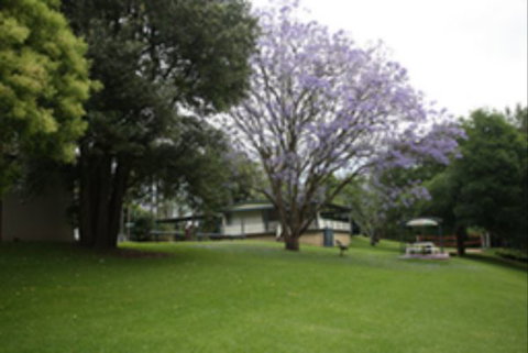 Hawkesbury Riverside Tourist Park - St Kilda Accommodation 0