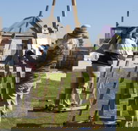 Ballara Art and Lifestyle Retreat - St Kilda Accommodation