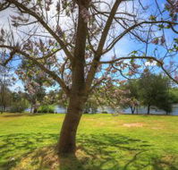 Breakaway Twin Rivers Caravan Park - St Kilda Accommodation
