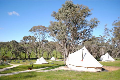 Cosy Tents - St Kilda Accommodation 5