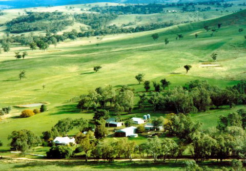 Daisyburn Homestead - St Kilda Accommodation 0