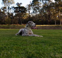 Hunter Valley Retreat