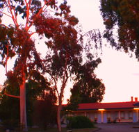 Murray Bridge Central Olympic Motel and Cottages - St Kilda Accommodation