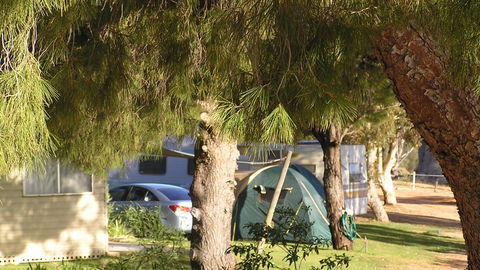 Barmera North Lake Caravan Park - St Kilda Accommodation 4