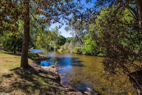 Porepunkah Bridge Holiday Park - St Kilda Accommodation 5