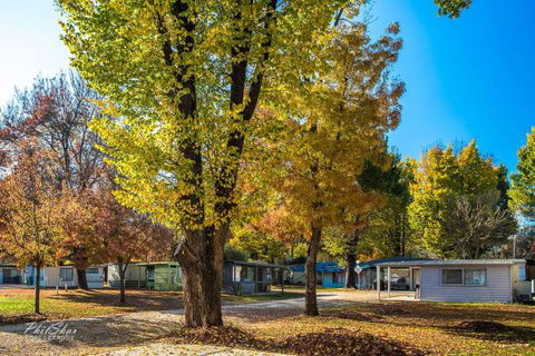Porepunkah Bridge Holiday Park - St Kilda Accommodation 8