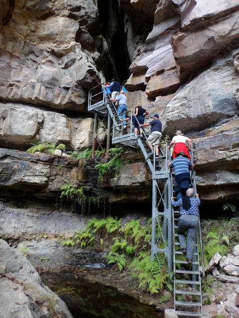 Takarakka Bush Resort Carnarvon Gorge - St Kilda Accommodation 0