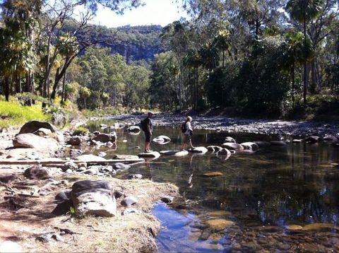 Takarakka Bush Resort Carnarvon Gorge - St Kilda Accommodation 9
