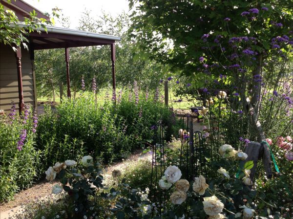 Somerville VIC St Kilda Accommodation