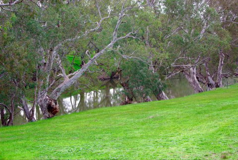 Yalooka Farm - St Kilda Accommodation 4
