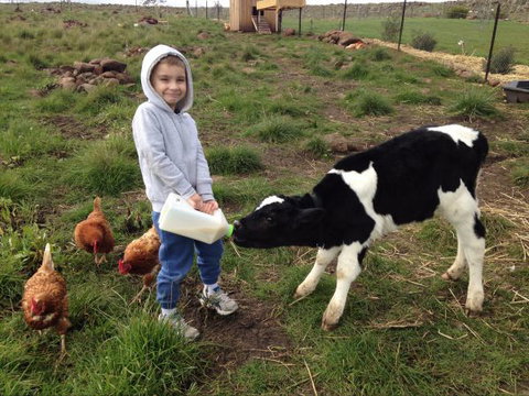 Yalooka Farm - St Kilda Accommodation 8