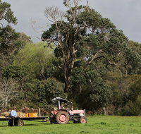 Boronia Farm - St Kilda Accommodation