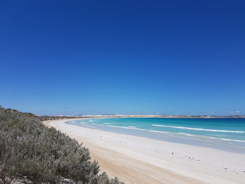 Coffin Bay National Park Campgrounds - St Kilda Accommodation 0