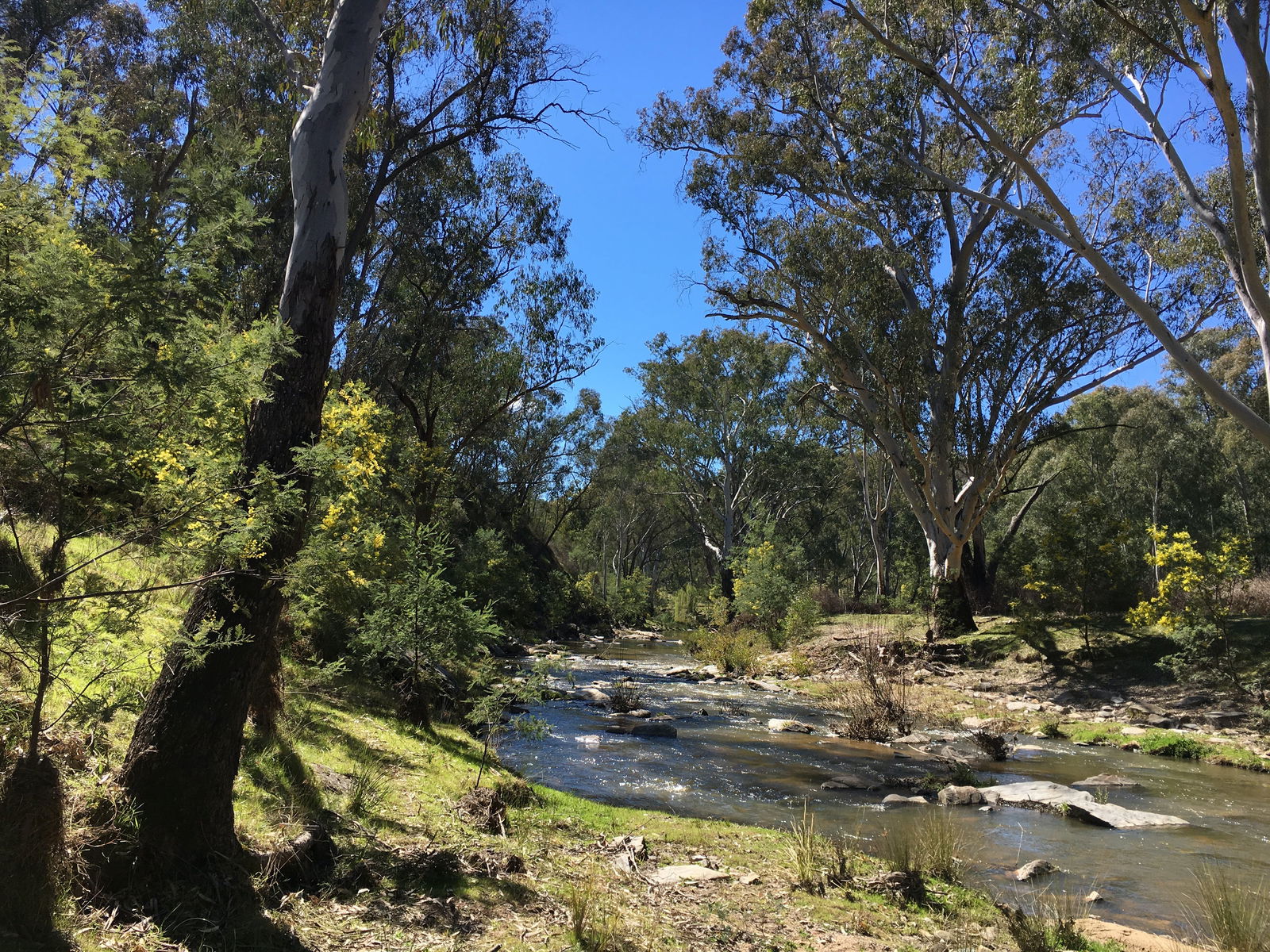 Mount Adrah NSW St Kilda Accommodation